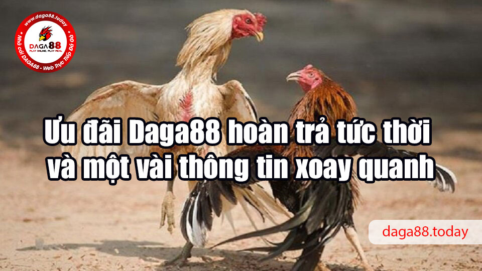 Ưu đãi Daga88 hoàn trả tức thời và một vài thông tin xoay quanh