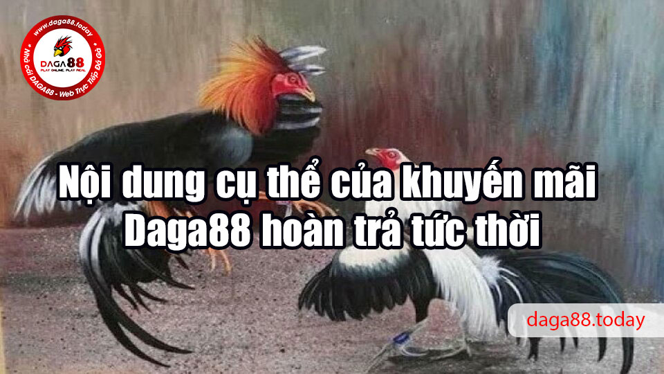 Nội dung cụ thể của khuyến mãi Daga88 hoàn trả tức thời