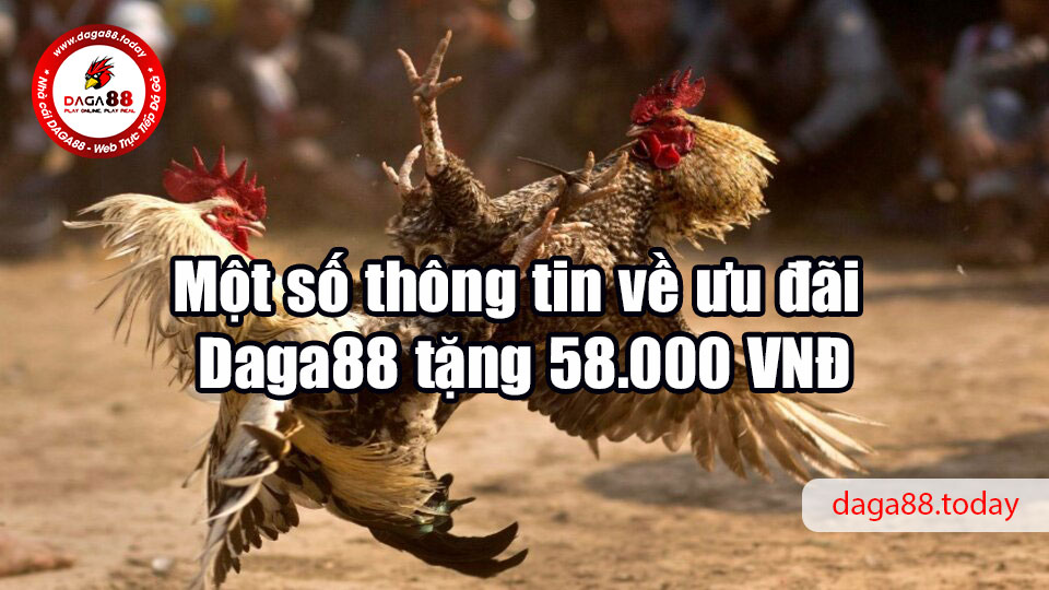 Một số thông tin về ưu đãi Daga88 tặng 58.000 VNĐ
