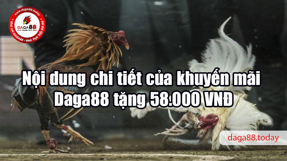 Nội dung chi tiết của khuyến mãi Daga88 tặng 58.000 VNĐ