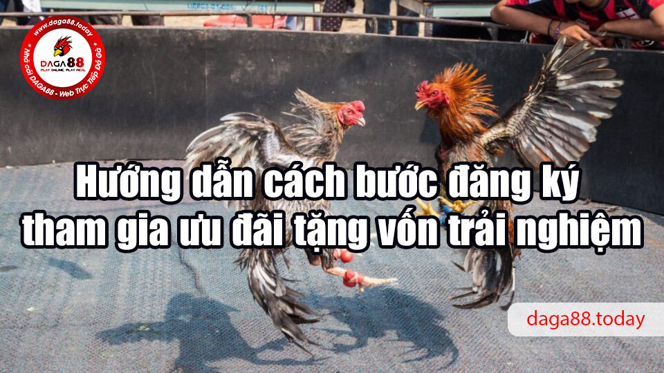 Hướng dẫn cách bước đăng ký tham gia ưu đãi tặng vốn trải nghiệm