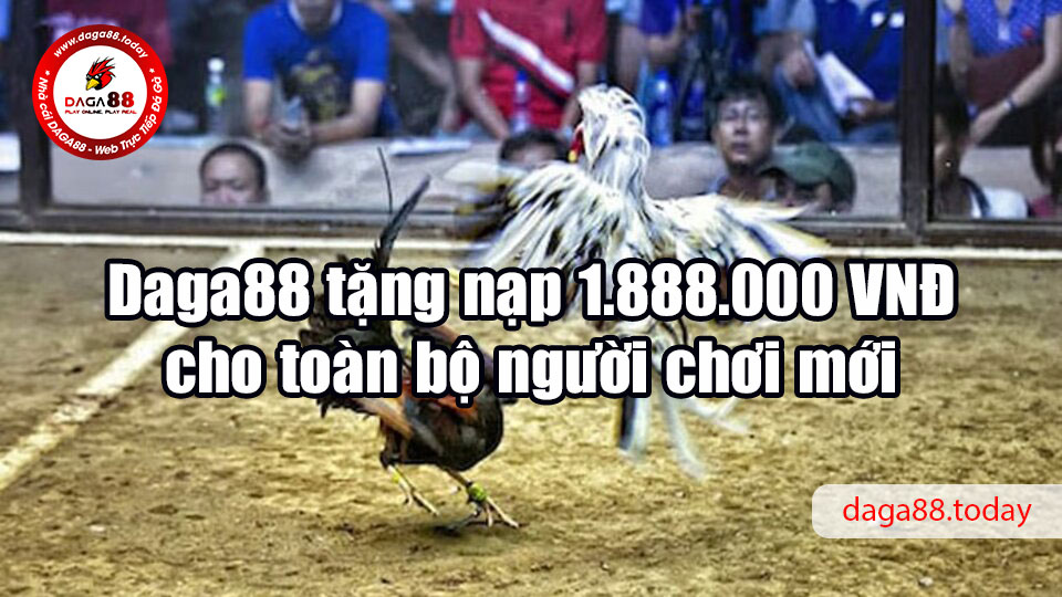 Daga88 tặng nạp 1.888.000 VNĐ cho toàn bộ người chơi mới