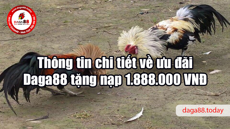 Thông tin chi tiết về ưu đãi Daga88 tặng nạp 1.888.000 VNĐ