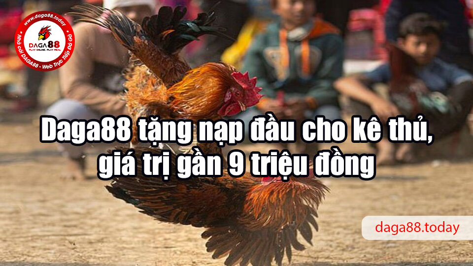 Daga88 tặng nạp đầu cho kê thủ, giá trị gần 9 triệu đồng
