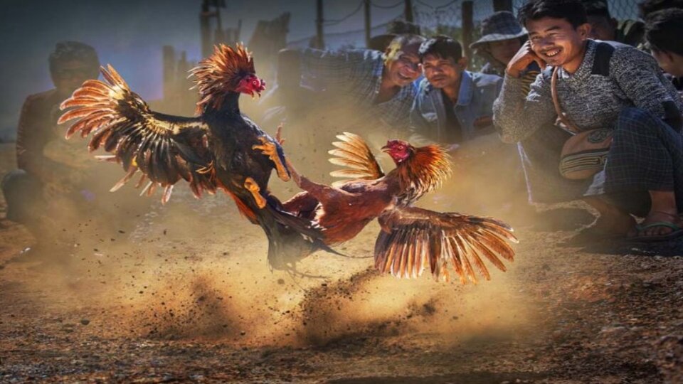 Khuyến mãi Daga88 tặng nạp ngày vàng có gì đặc biệt?