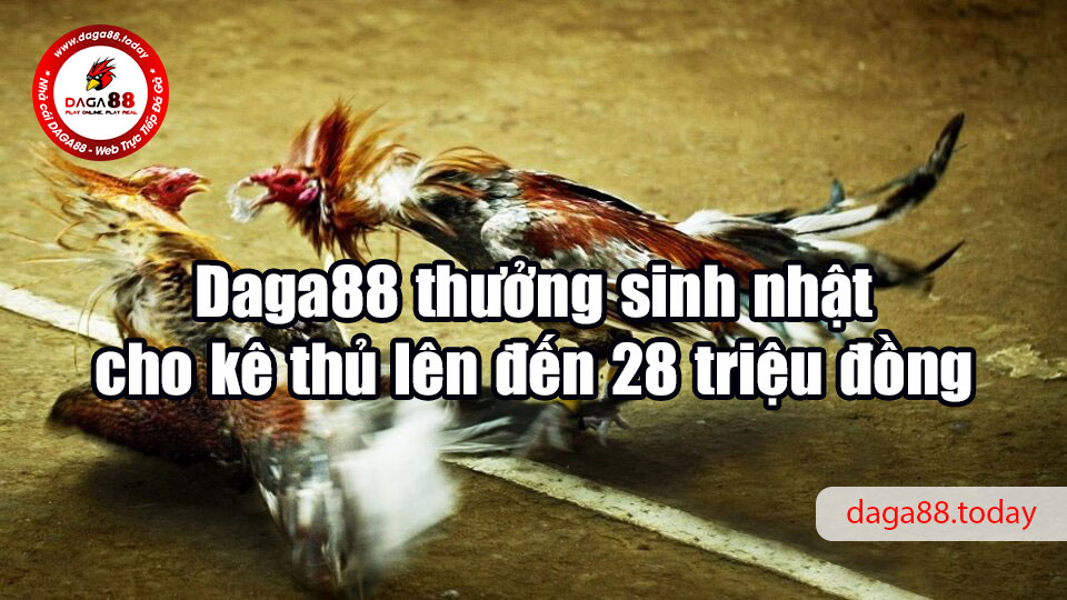 Daga88 thưởng sinh nhật cho kê thủ lên đến 28 triệu đồng