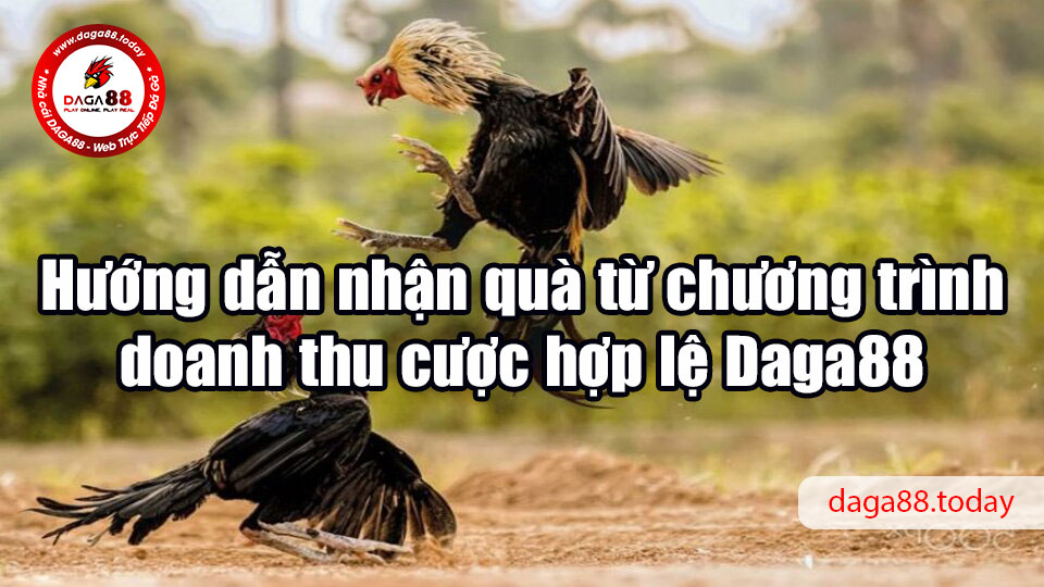 Hướng dẫn nhận quà từ chương trình doanh thu cược hợp lệ Daga88