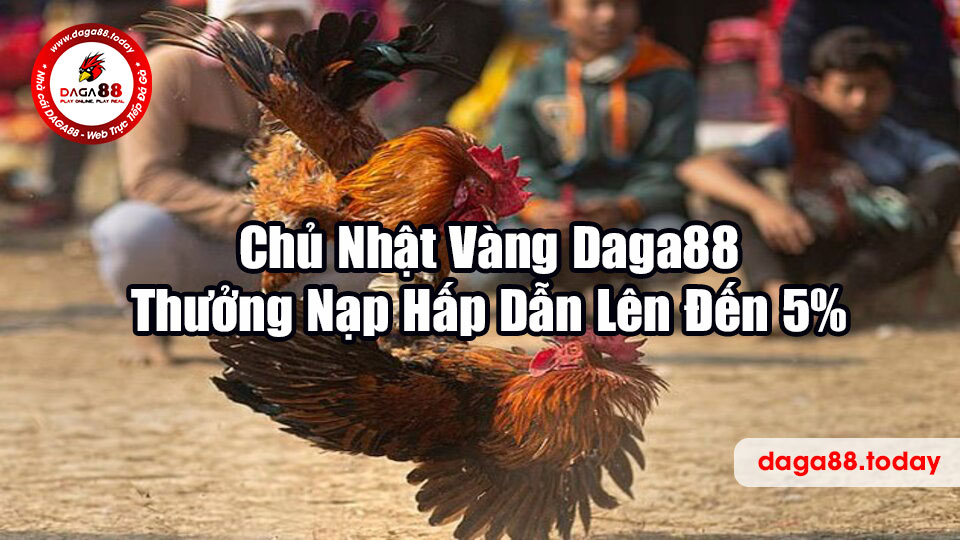Chủ Nhật Vàng Daga88 - Thưởng Nạp Hấp Dẫn Lên Đến 5%