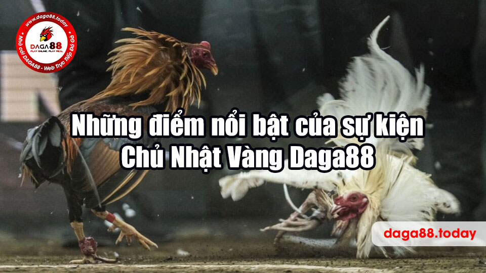Những điểm nổi bật của sự kiện Chủ Nhật Vàng Daga88