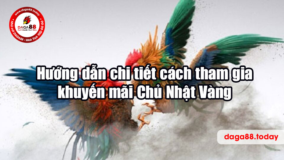 Hướng dẫn chi tiết cách tham gia khuyến mãi Chủ Nhật Vàng