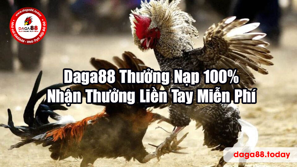 Daga88 Thưởng Nạp 100% - Nhận Thưởng Liền Tay Miễn Phí
