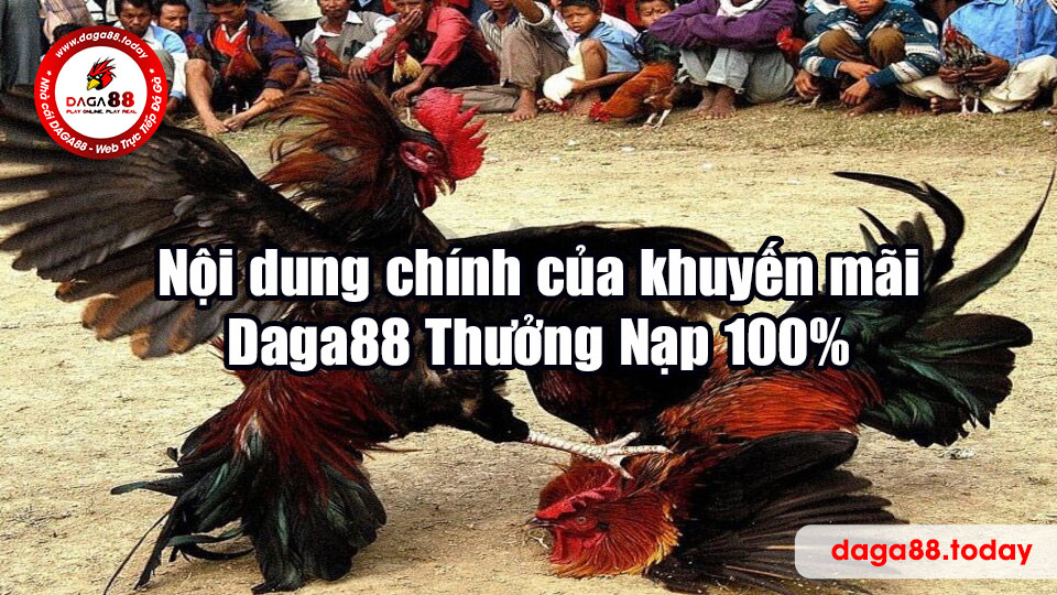 Nội dung chính của khuyến mãi Daga88 Thưởng Nạp 100%